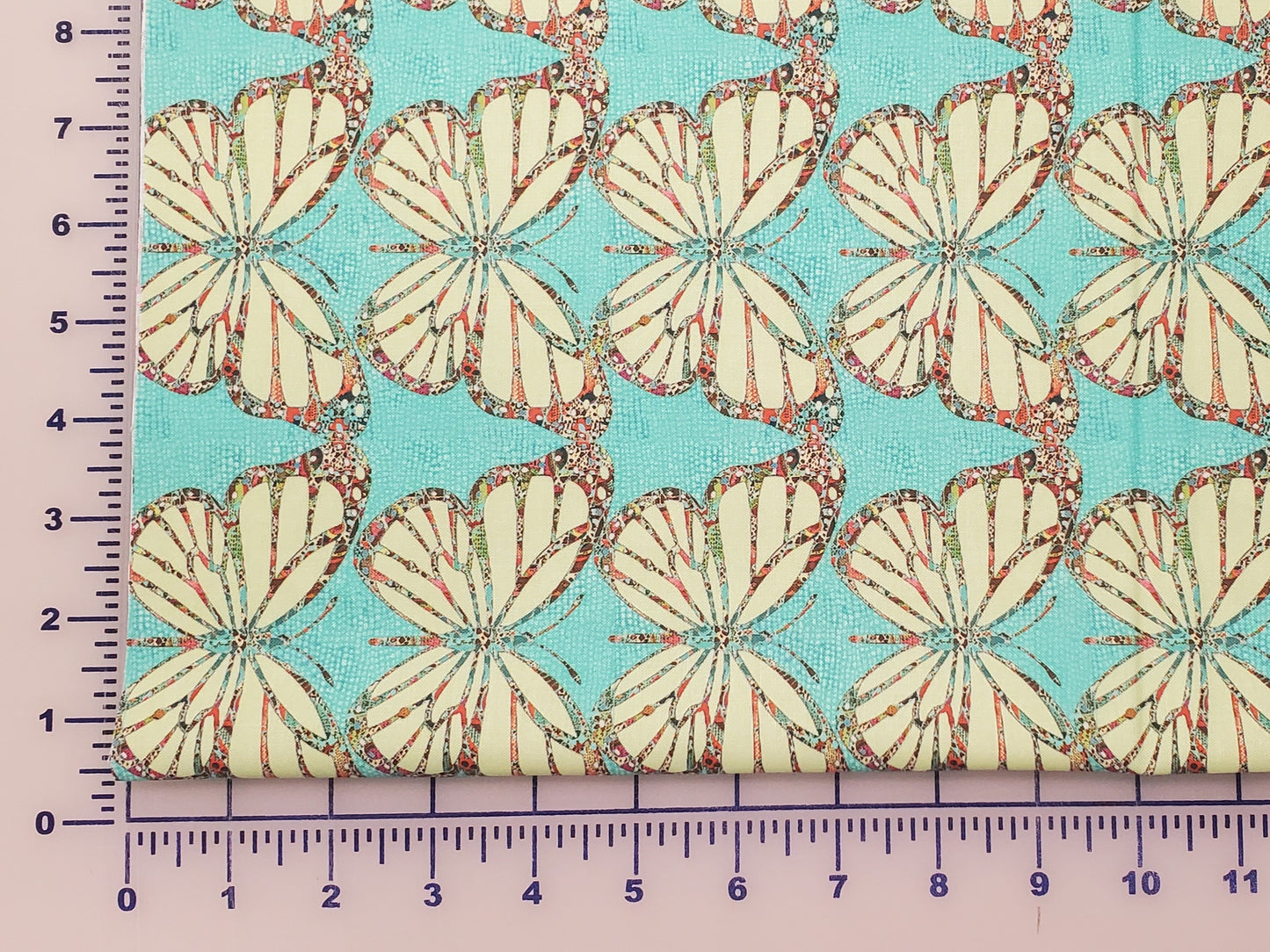 Moth - Multi - P Carter Carpin's - Serious Whimsey