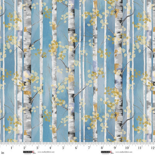 Behind Blue Eyes - Slate - Birch Trees
