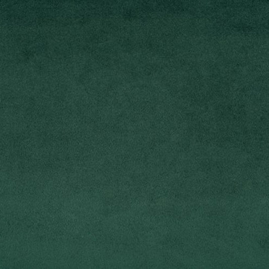 Shannon Cuddle Minky EVERGREEN - solid 90