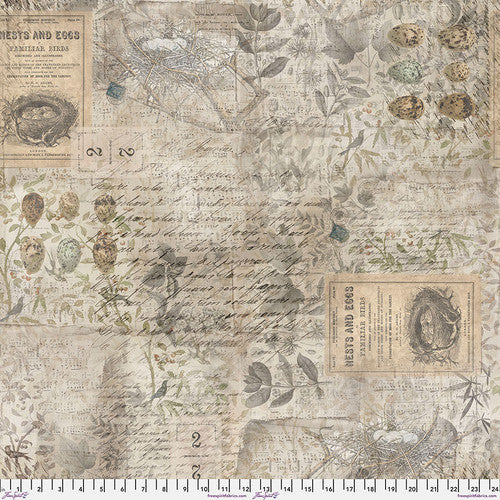 Foundations - Multi - Eggs & Nest by Tim Holtz