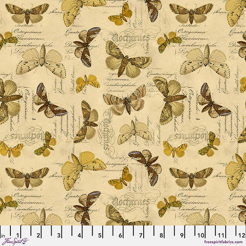 Tim Holtz Yellow Palette Collection - Yellow Specimen