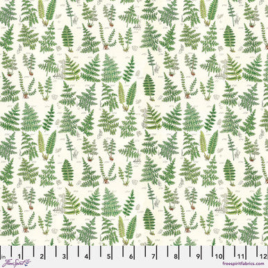 Tim Holtz Green Palette Collection - Green Ferns