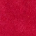 Cardindial - High Density Cotton by Windham Fabrics