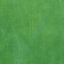 Grass - High Density Cotton by Windham Fabrics