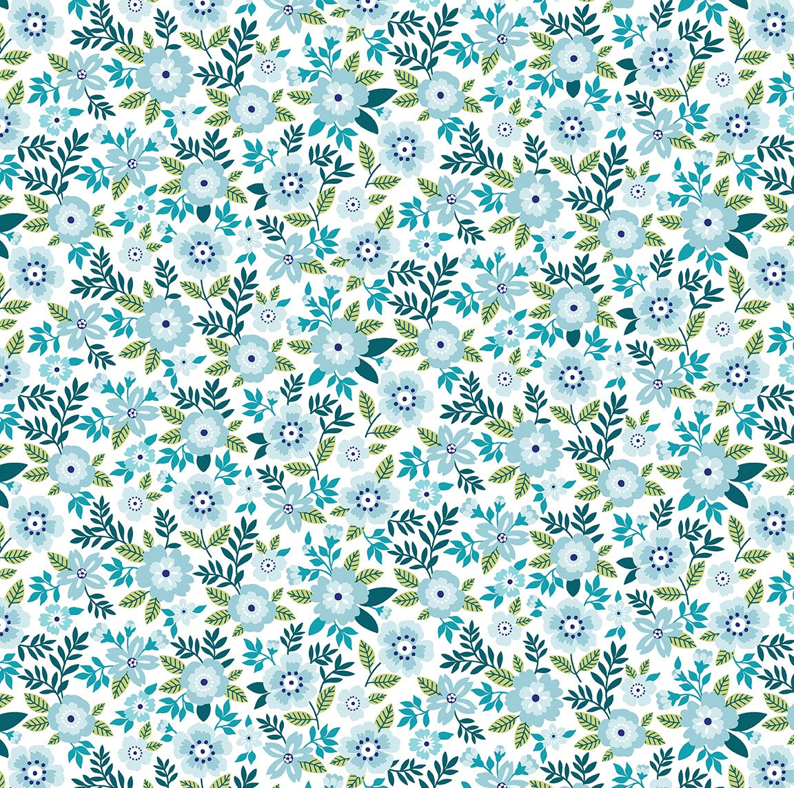 Asters Aquamarine - Seaside Garden