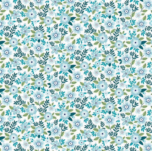 Asters Aquamarine - Seaside Garden