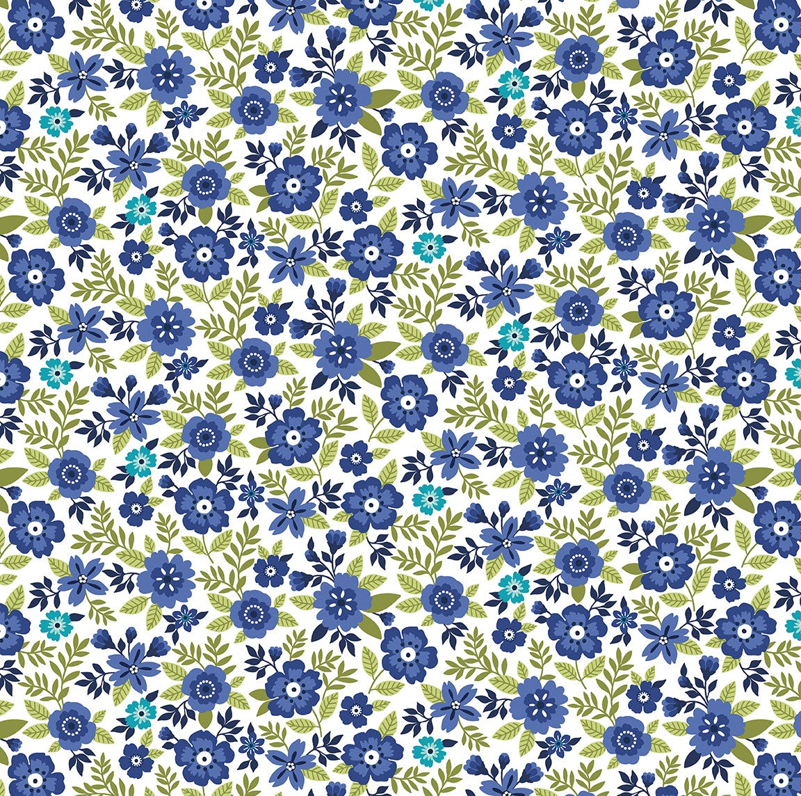 Asters Cobalt - Seaside Garden