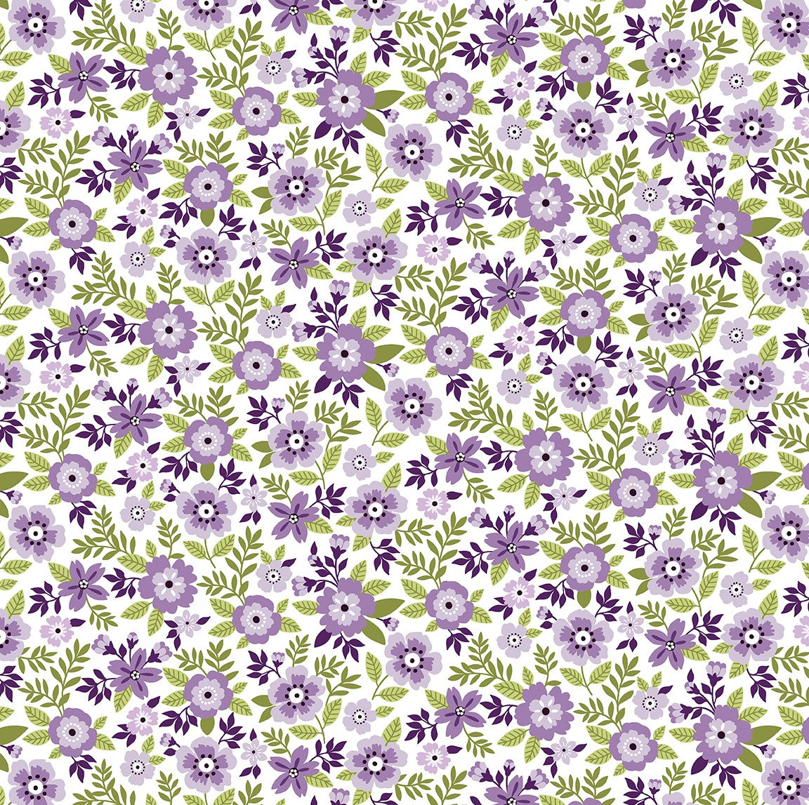 Asters Lilac - Seaside Garden