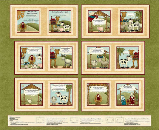 Lil Readers - Sage Panel - Do You See What I See