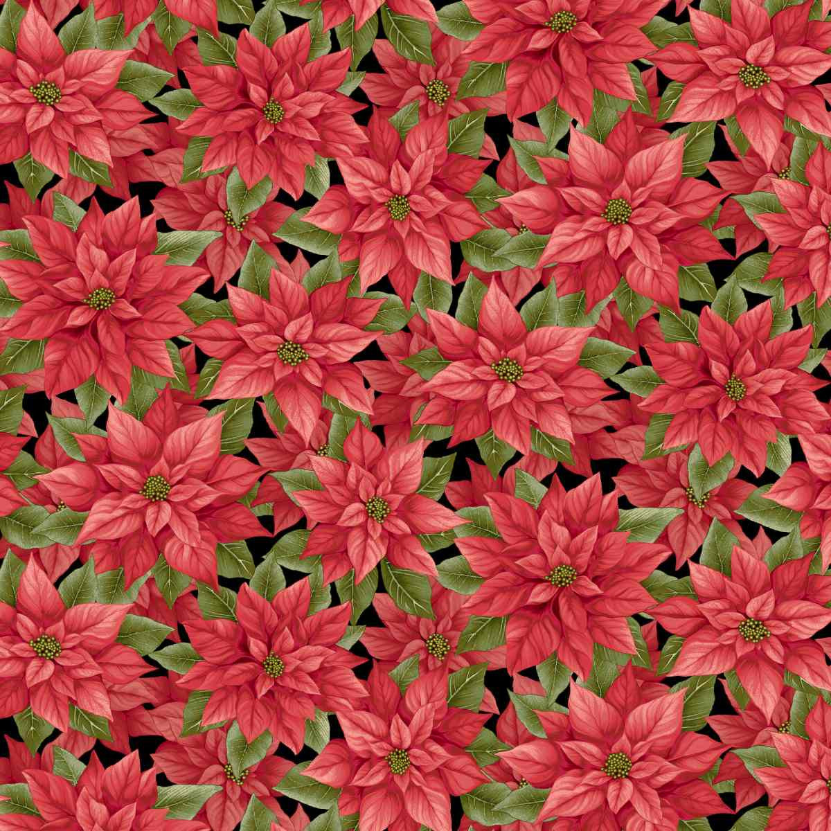 Sweet Christmas Memories - Poinsettia - Black & Red Multi