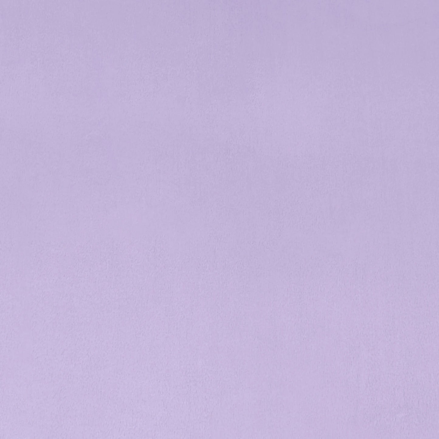 Shannon Cuddle Minky Lavendar- solid 90