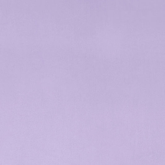 Shannon Cuddle Minky Lavendar- solid 90