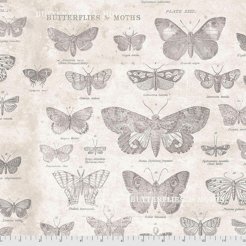 Monochrome - Parchment - Butterflies by Tim Holtz