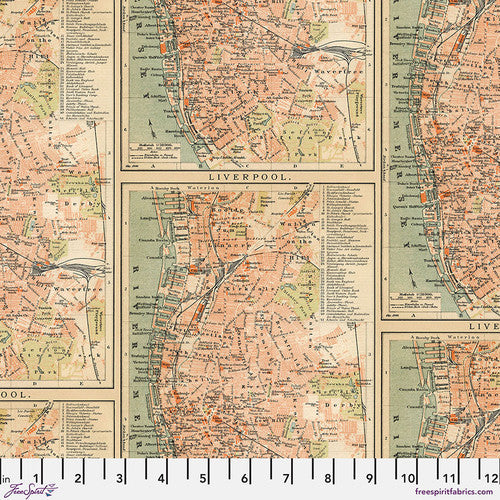 Tim Holtz Orange  Palette Collection - Orange Map