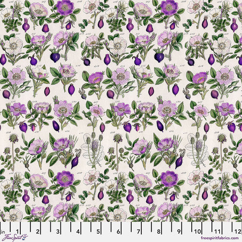 Tim Holtz Purple Palette Collection - Purple Botanical