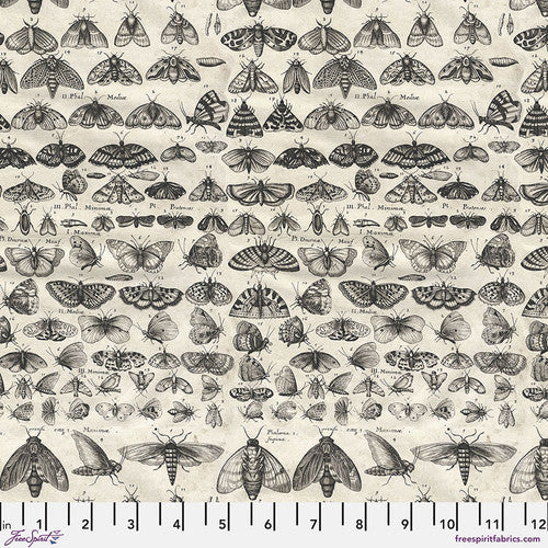 Tim Holtz Charcoal Palette Collection - Charcoal Moths