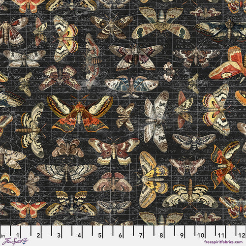 Halloween - Halloween Moth Study by Tim Holtz