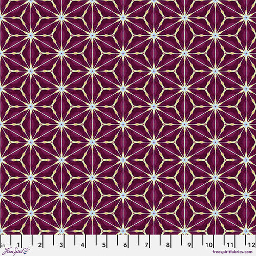 Kaleidoscope - Amaryllis - Claret