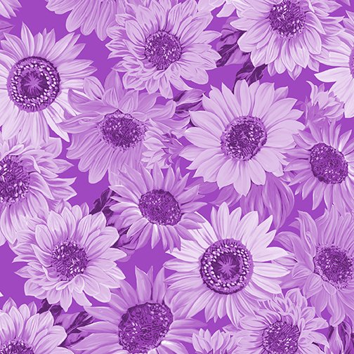 Sunflower Whisper - Violet 108"